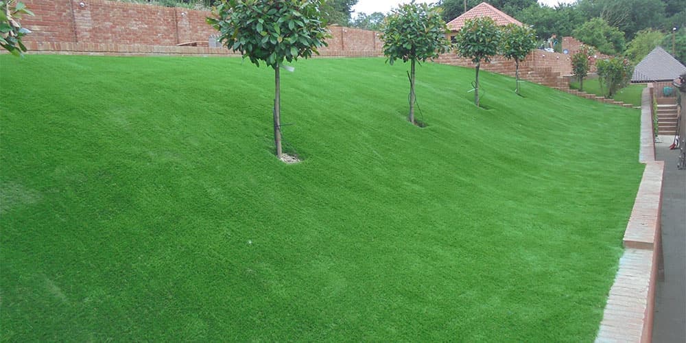 A real Knoxville-area backyard, before